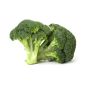 Broccoli Holland 1KG Approx Weight