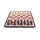 BRAINS CHESS 8708A